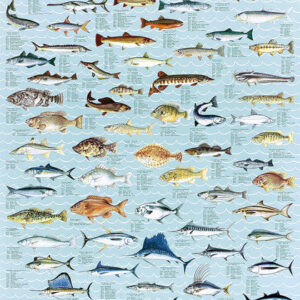 Game Fish Poster