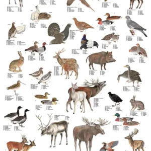 Game Animals Poster
